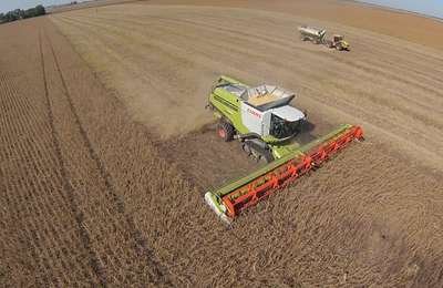 Para el kirchnerismo fue un 'yuyo maldito'