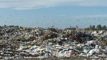 A CIELO ABIERTO. Las autoridades de Venado Tuerto tratan de minimizar la contaminación que producen las bolsas de material no biodegradable. sitio web www.dunitar.com