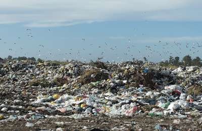 A CIELO ABIERTO. Las autoridades de Venado Tuerto tratan de minimizar la contaminación que producen las bolsas de material no biodegradable.  sitio web www.dunitar.com