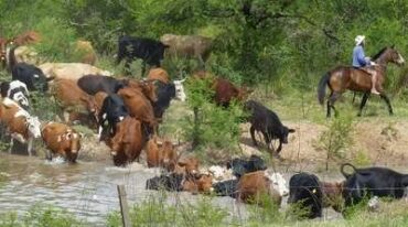 CON EL AGUA AL CUELLO. Casi la totalidad de la hacienda de islas ya pudo evecuarse