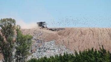 LAS ACCIONES desarrolladas por la Municipalidad de Rosario no han logrado todavía un impacto sensible en la cantidad de residuos que diariamente la ciudad envía a la comuna de Ricardone para su disposición final. Actualmente