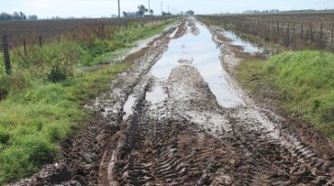Caminos rurales estropeados en toda la provincia. Gentileza