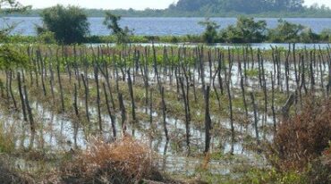 La producción agrícola de la provincia
