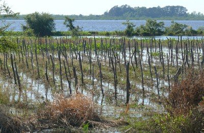 La producción agrícola de la provincia