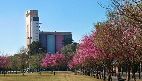 Gentileza Prensa Mun. de Rosario