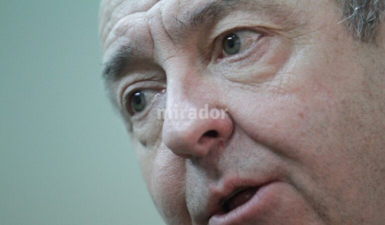 Niñez. "En los centros propios tenemos un plan de obras y mejoramiento y estamos incrementando la cantidad de plazas en lo que refiere a convenios". Pablo Aguirre