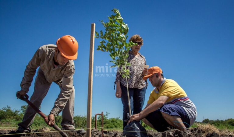 Fueron 60 los árboles plantados