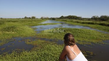 Los primeros pasos para el desarrollo de un proyecto ecoturístico en el denominado Legado Deliot. Prensa Mun. de Rosario
