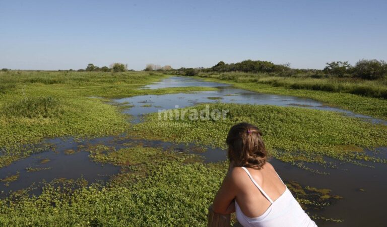Los primeros pasos para el desarrollo de un proyecto ecoturístico en el denominado Legado Deliot. Prensa Mun. de Rosario