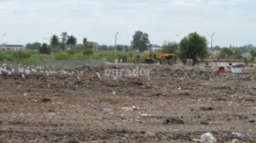 La Municipalidad de Venado Tuerto trabaja para mejorar la política ambiental de esa ciudad. Gentileza: Municipalidad de Venado Tuerto.