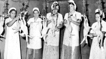 Trabajadoras del frigorífico "El Indio" en la década del 70.La avicultura entrerriana empezó como una actividad familiar dependiente de las mujeres.
