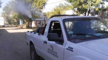 Igual o más preocupante es que a pesar de las acciones que casi a diario informa el gobierno local para combatir al mosquito transmisor