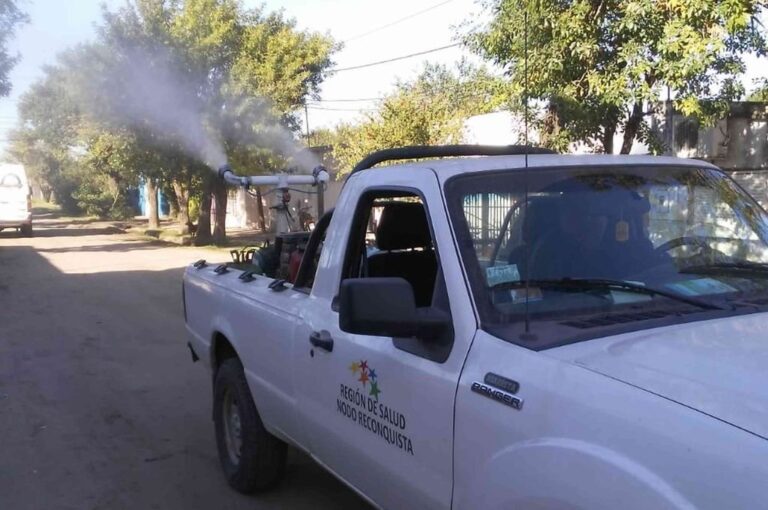 Igual o más preocupante es que a pesar de las acciones que casi a diario informa el gobierno local para combatir al mosquito transmisor