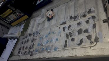 Gendarmería secuestró envoltorios de cocaína y marihuana en uno de los operativos. Prensa GNA