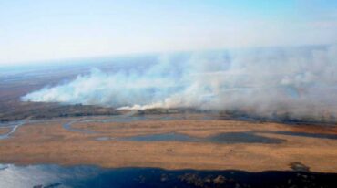 La zona de islas frente a Rosario afectada  por incendios Twitter Pablo Javkin