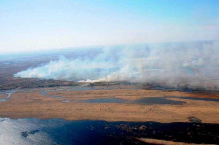 La zona de islas frente a Rosario afectada  por incendios Twitter Pablo Javkin