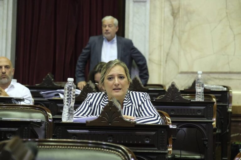 La legisladora Lucila Lehmann. Prensa Lehmann