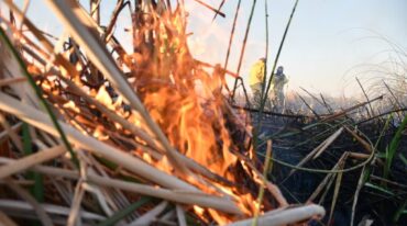Incontrolables. Los especialistas advierten que las quemas de pastizales son difíciles de sofocar por las condiciones del ambiente en las que se originan. Manuel Fabatía.