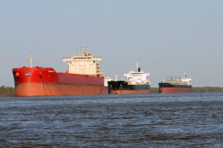 A los puertos del Gran Rosario habían ingresado 2.632 buques oceánicos en el 2019