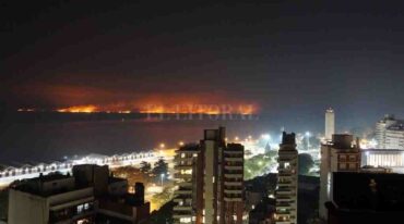 Gentileza.
