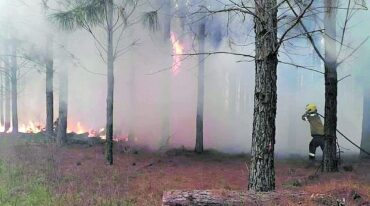 El incendio en Isla Cambacuá se extendió durante varios días.
