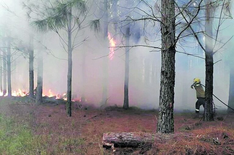 El incendio en Isla Cambacuá se extendió durante varios días.