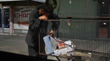 El hambre que más duele. Un joven revolviendo una bolsa de residuos en busca de comida.   Manuel Fabatía