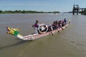 25 Rosas. Es el color que identifica a la lucha contra el cáncer de mama. Fernando Nicola