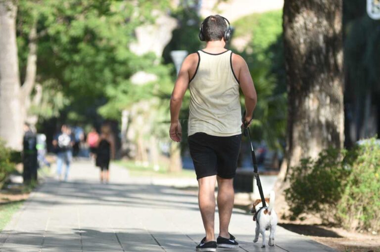 Manuel Alberto Fabatía