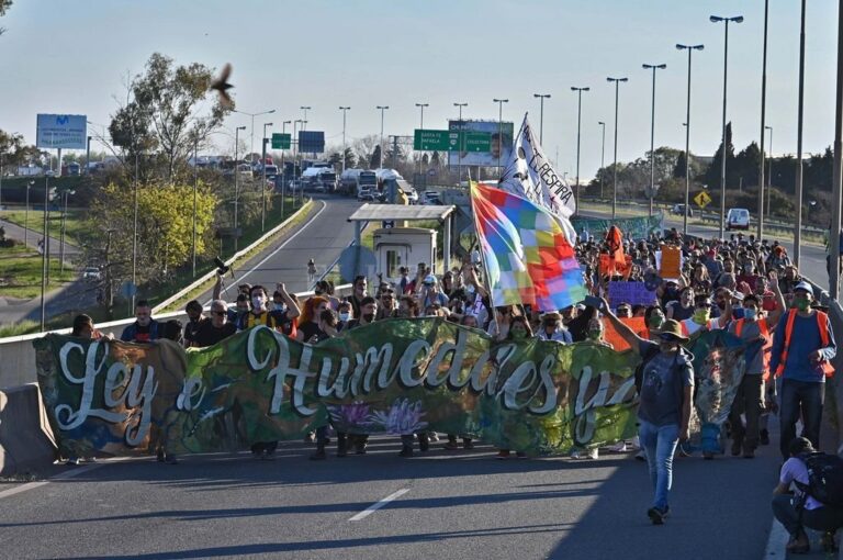 "Dentro de la agenda de los movimientos sociales y organizaciones no gubernamentales que se dedican al ambiente