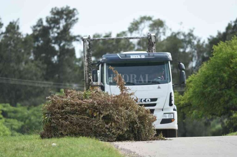 Peligro 1. No sólo la desidia de quienes arrojan residuos en las banquinas de la Circunvalación