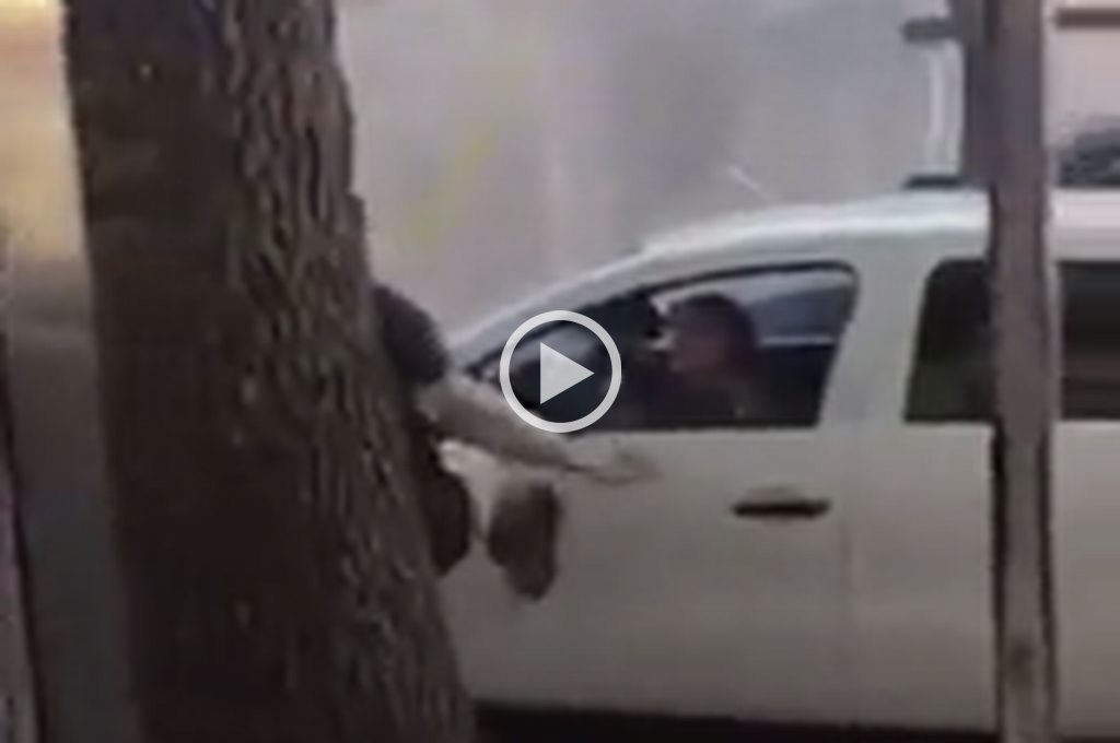 Captura de video
