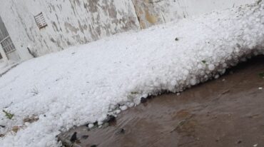 Gentileza.