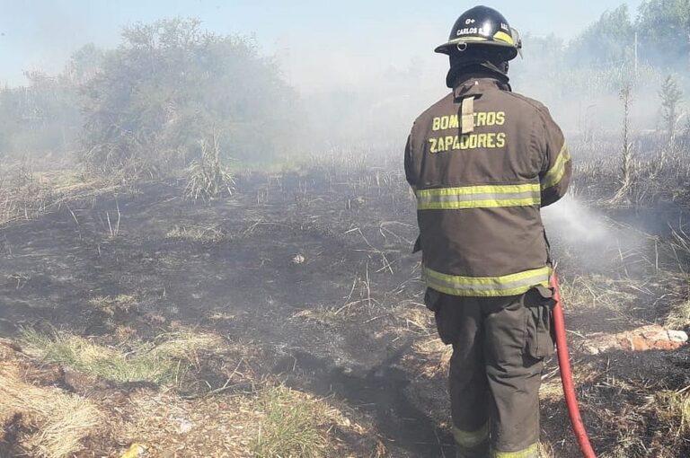 Efectivos de la ABZ de Santa Fe debieron sofocar las llamas en un baldío de calle San Lorenzo al 8600