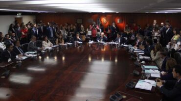Representación: de 20 miembros