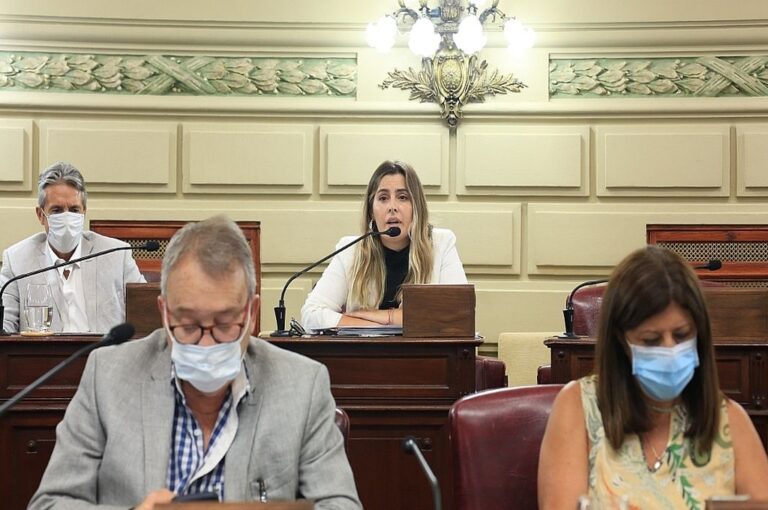 La socialista Cattalini abrió el debate sobre la emergencia no sin formular cuestionamientos a la gestión de Sain.    Gentileza
