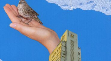 Las editoras entienden que es necesario hacer visibles aquellas naturalizaciones que el extractivismo depredador ha ido construyendo a través de un 'sentido común'. Gentileza.
