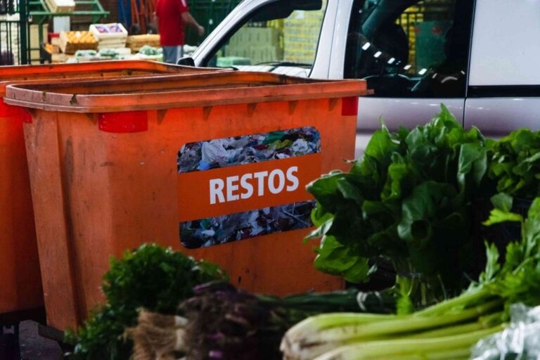 La iniciativa intenta concientizar sobre los beneficios ambientales de la separación de residuos. Imagen ilustrativa