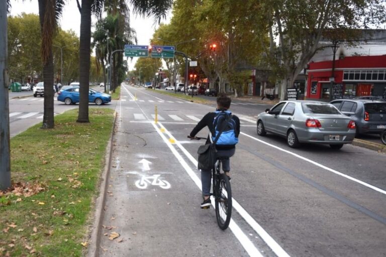Bulevar Rondeau es una zona de casas sin edificios. Archivo.