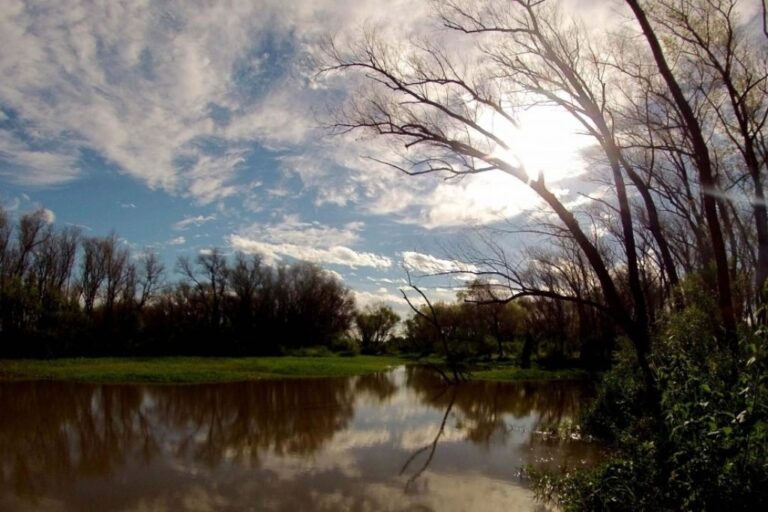 El delta del Paraná es un pulmón para una región muy poblada. Archivo.