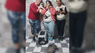 Las rescatistas realizan este trabajo desde sus domicilios particulares