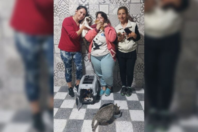 Las rescatistas realizan este trabajo desde sus domicilios particulares