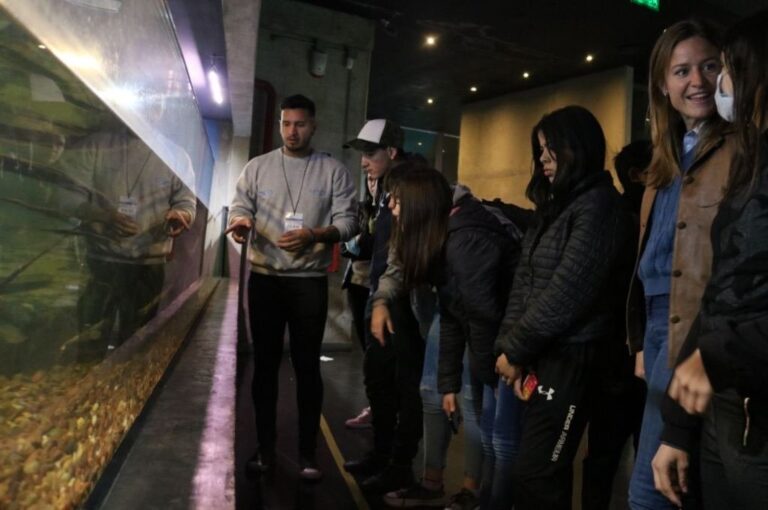 Gentileza: prensa Gobierno de Santa Fe.