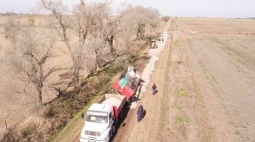 'Se trata de dos proyectos de ley muy importantes que se aprobaron y fueron girados a la Cámara Baja. Sería un paso muy importante si el proyecto se aprueba antes de fin de año