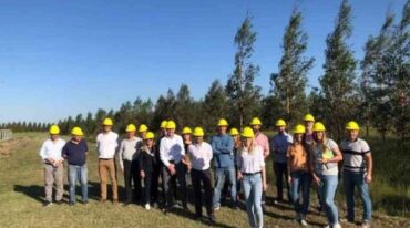 La investigadora resaltó que 'la producción forestal con especies de rápido crecimiento