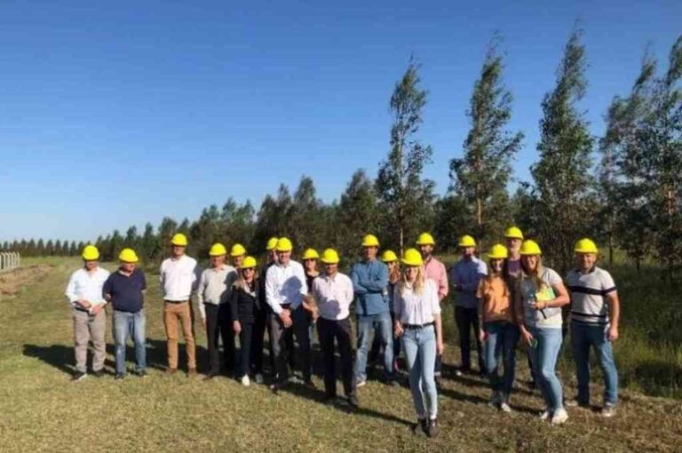 La investigadora resaltó que 'la producción forestal con especies de rápido crecimiento