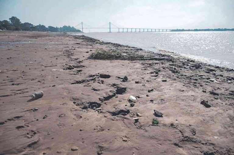 "Cuando los ecosistemas son más diversos son