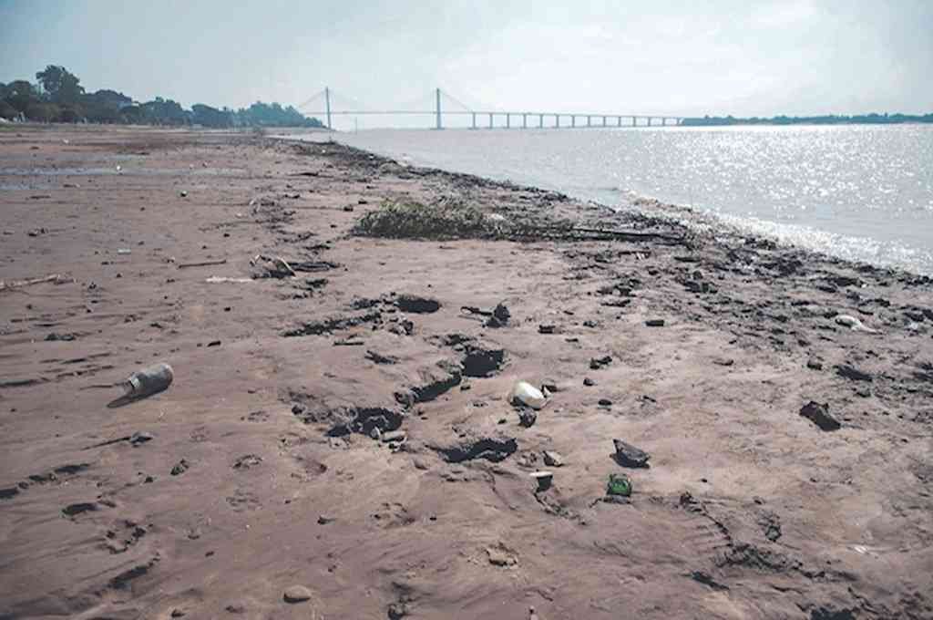"Cuando los ecosistemas son más diversos son