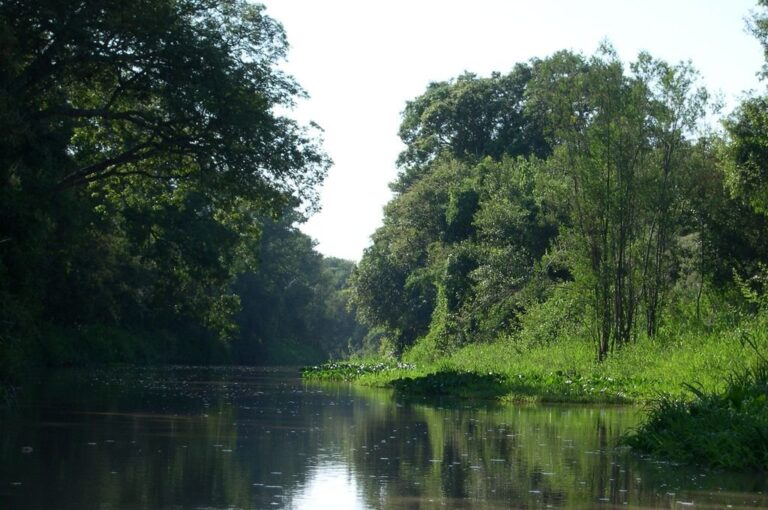 Paisaje. Una postal del sitio ubicado en el noreste provincial