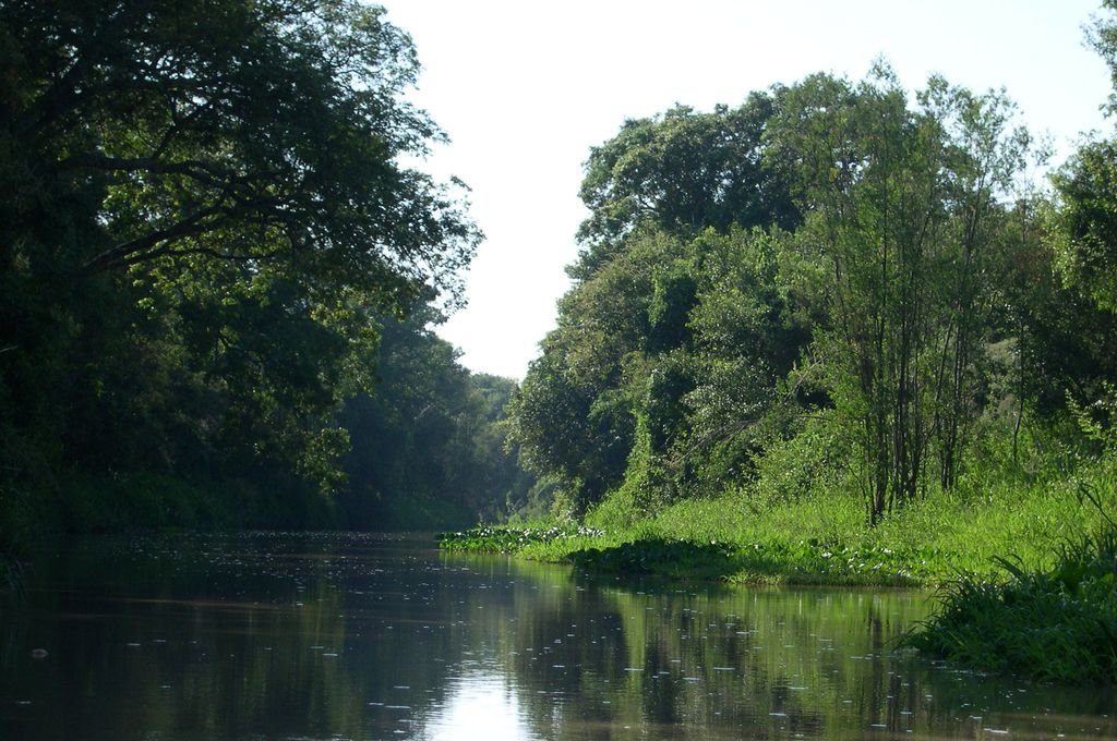 Paisaje. Una postal del sitio ubicado en el noreste provincial